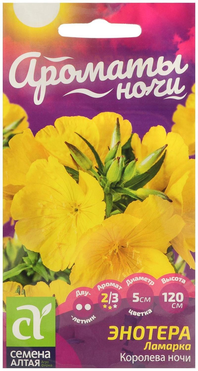 Семена цветов Энотера 