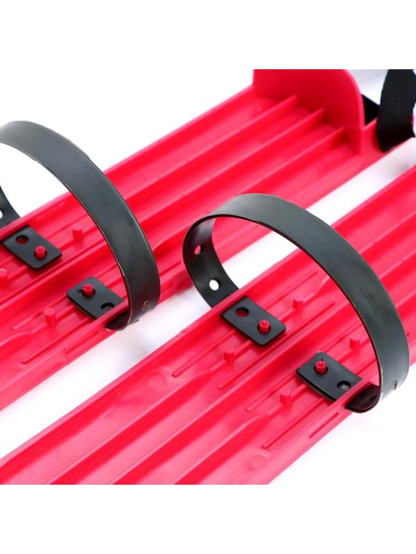 Мини-лыжи большие РТ-2, МИКС