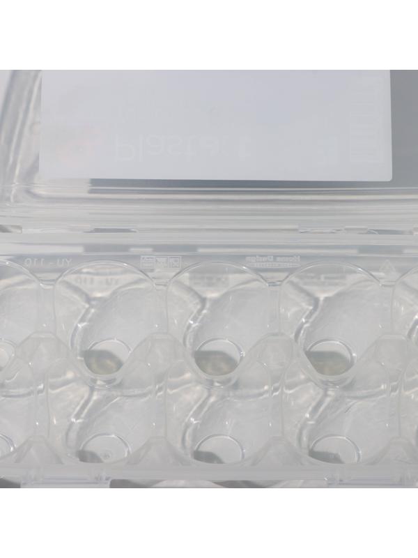 Контейнер для хранения яиц, 10 ячеек, 26,5×12,5×7 см