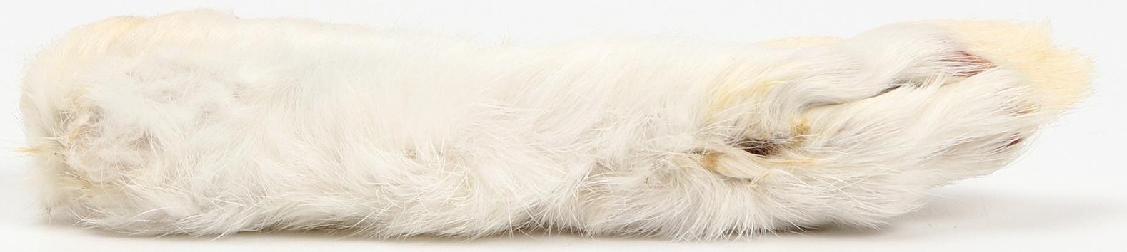 Игрушка-лакомство TitBit для кошек, лапка пушистая, 16 г