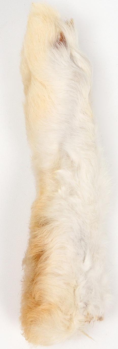 Игрушка-лакомство TitBit для кошек, лапка пушистая, 16 г