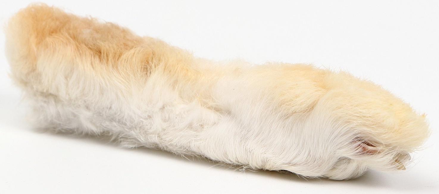 Игрушка-лакомство TitBit для кошек, лапка пушистая, 16 г