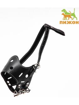 Намордник из прессованной кожи регулируемый, 2 (длина по носу 5 см, обхват морды 15-22 см),