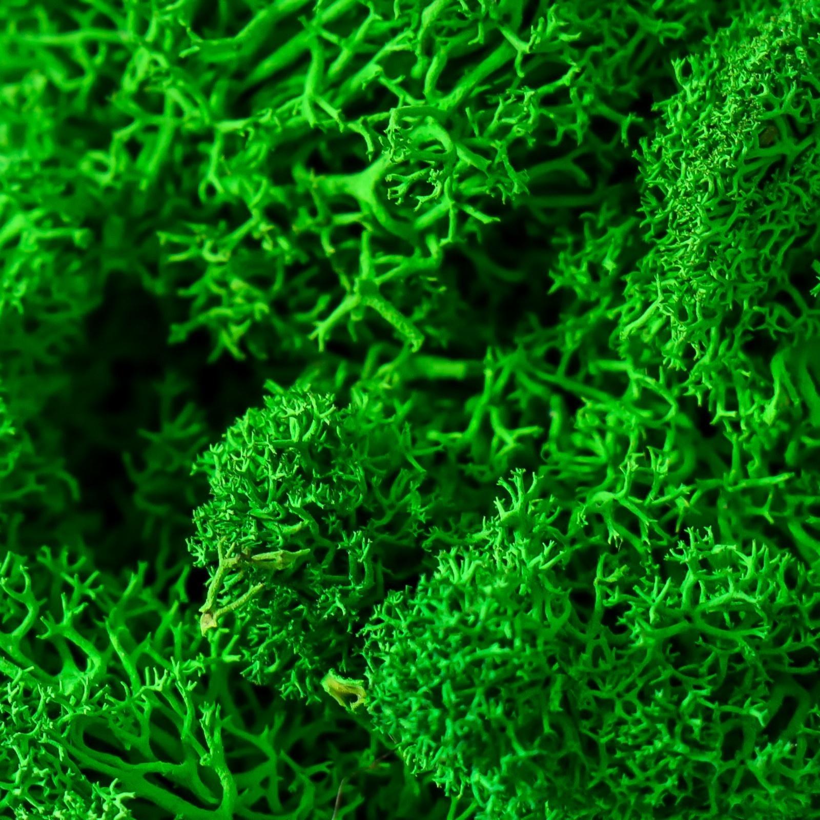 Кашпо бетонное 