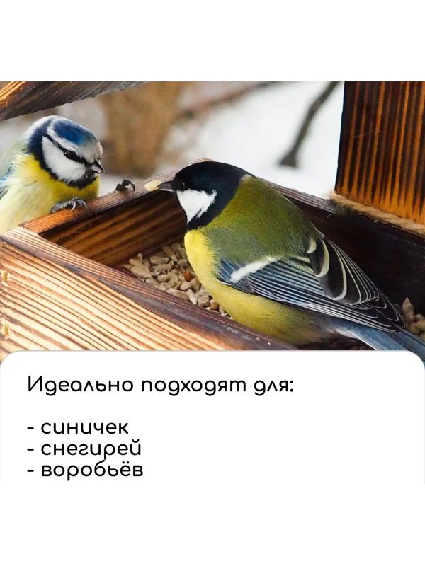 Кормушка-конструктор из ХДФ для птиц «Терция» своими руками, 16 × 18 × 23 см, Greengo