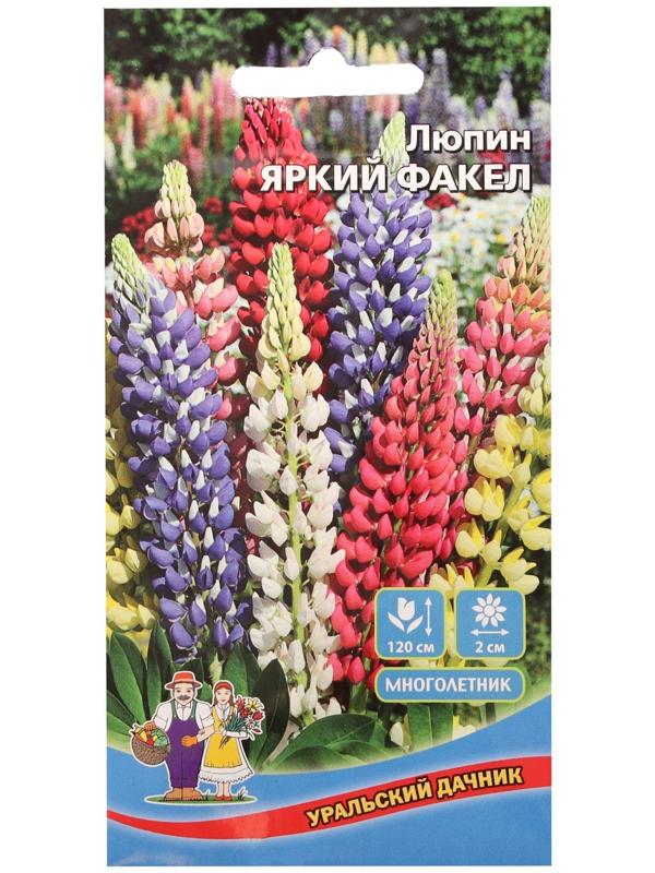 Семена цветов Люпин 