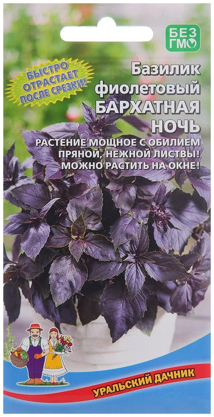 Семена Базилик 