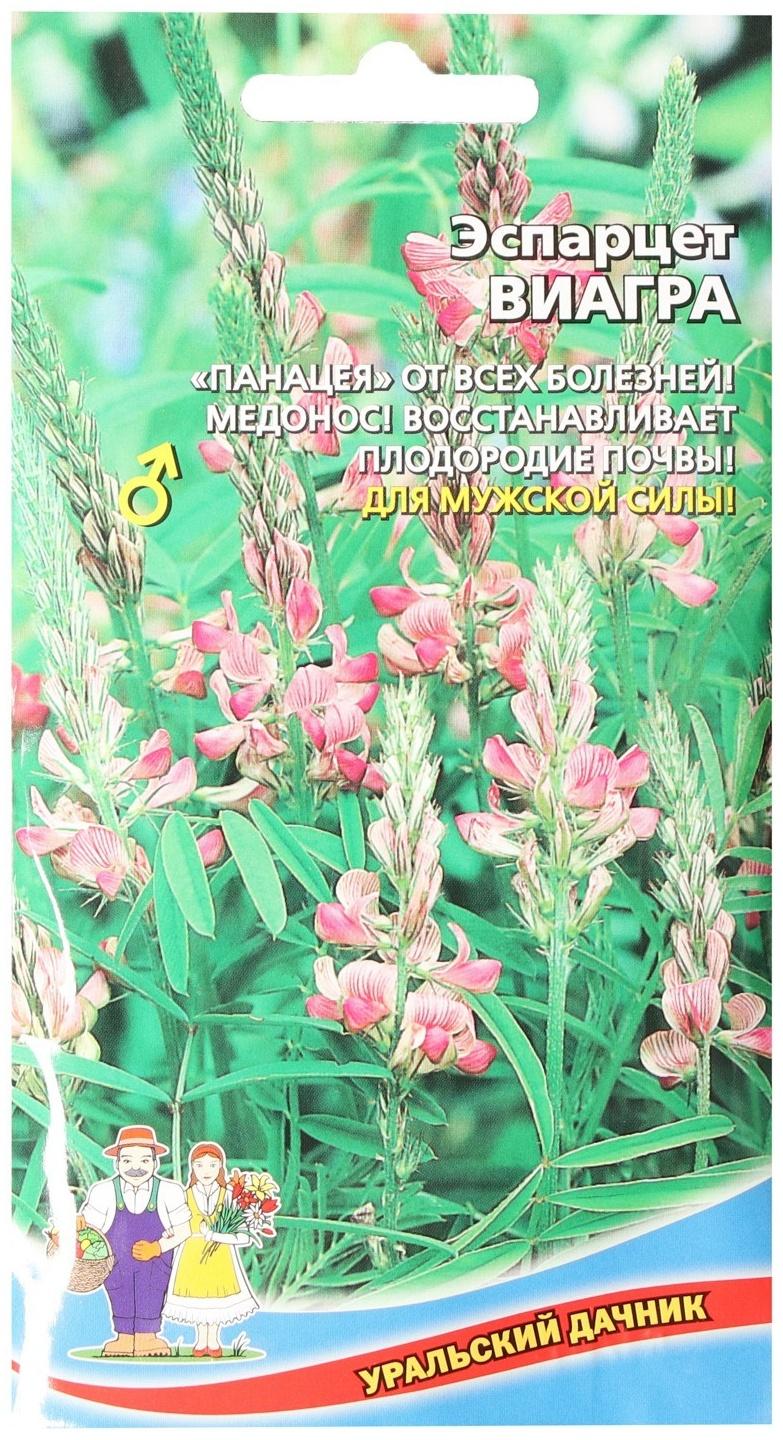 Семена цветов Эспарцет 