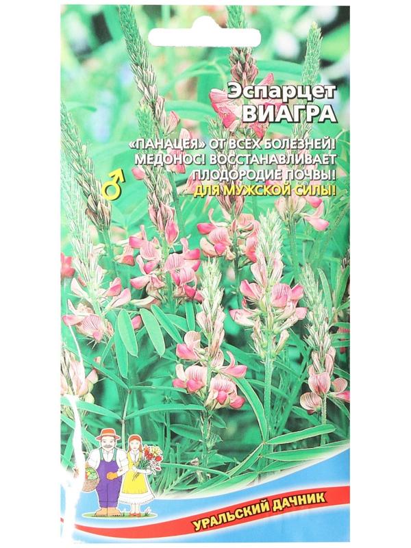 Семена цветов Эспарцет 