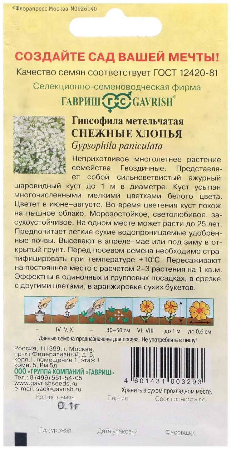 Семена цветов Гипсофила 
