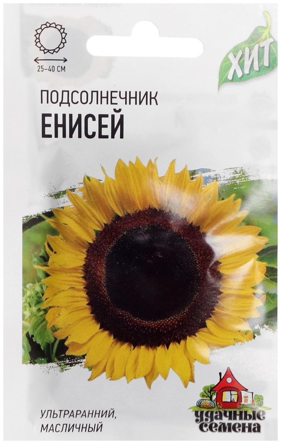 Семена Подсолнечник 