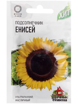 Семена Подсолнечник 