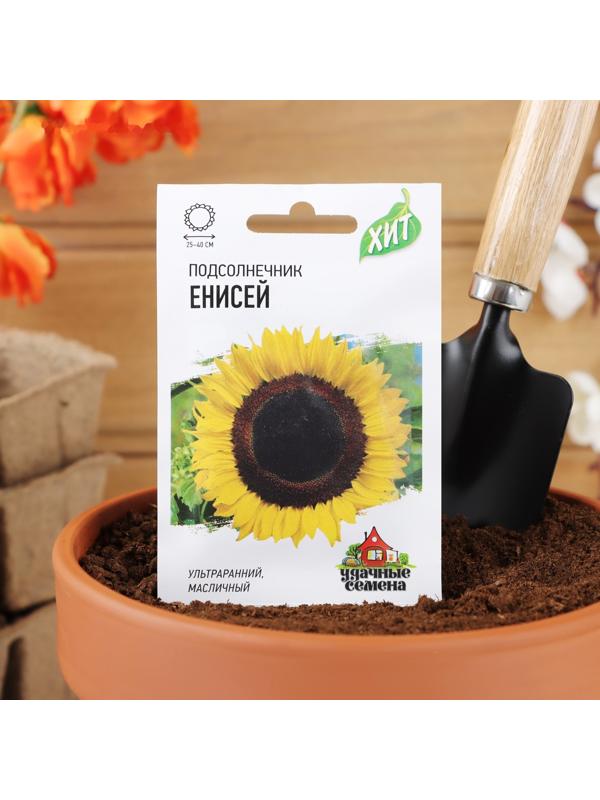 Семена Подсолнечник 