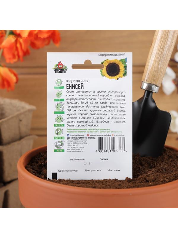 Семена Подсолнечник 