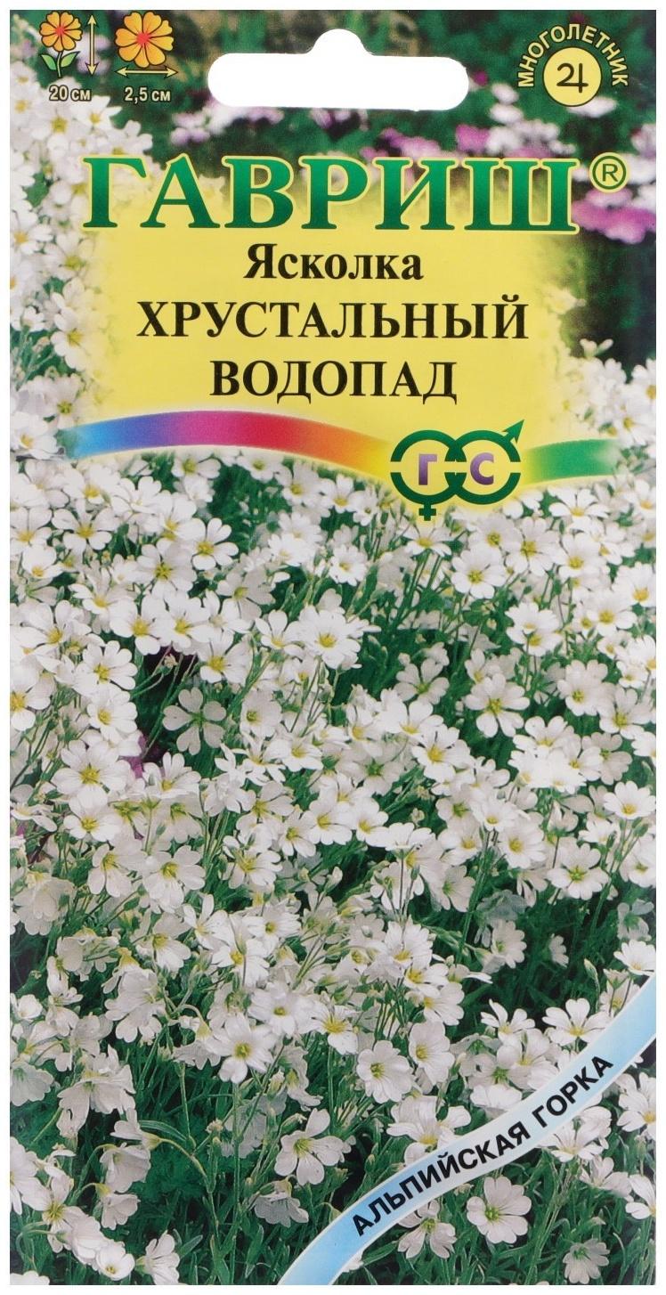 Семена цветов Ясколка 