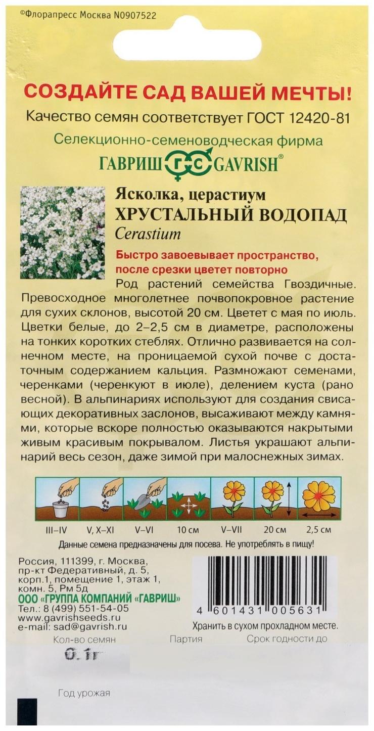 Семена цветов Ясколка 