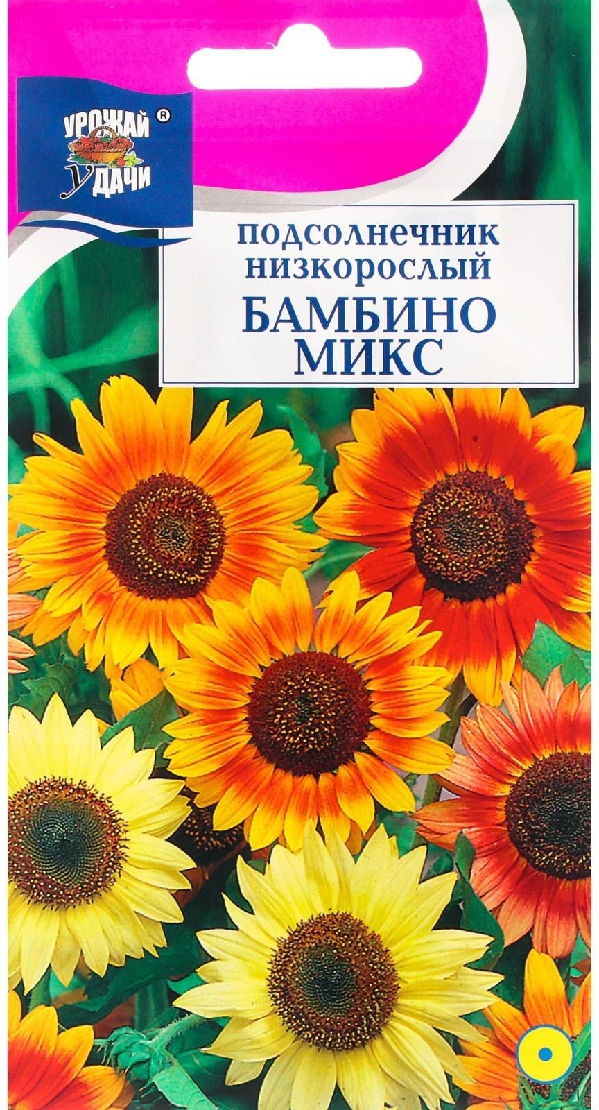 Семена цветов Подсолнечник низкорослый 