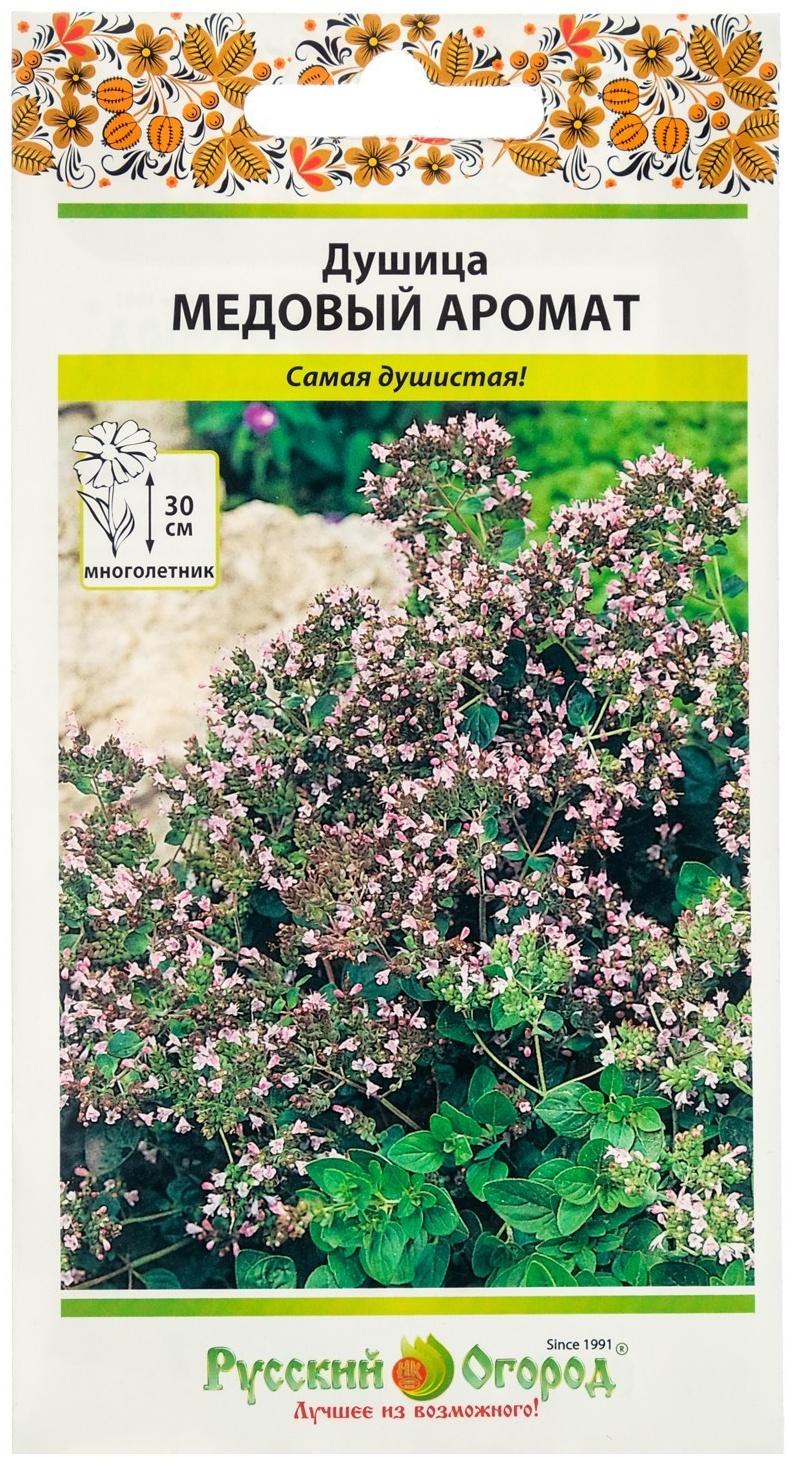 Семена Душица обыкновенная 