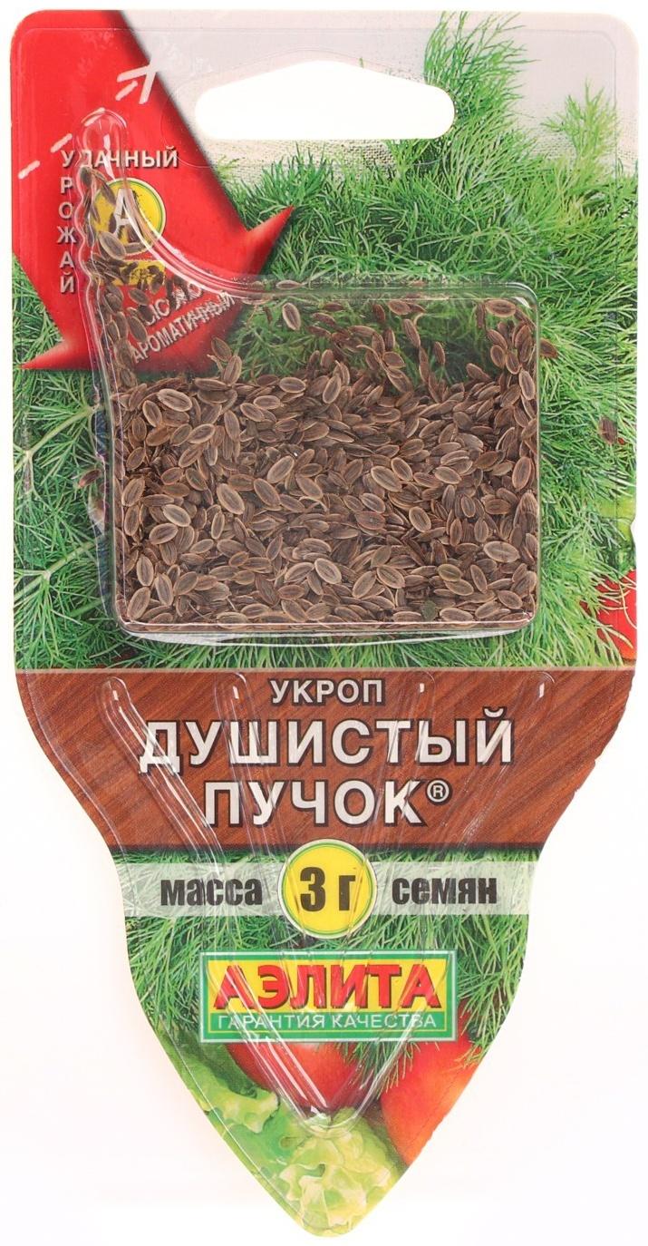 Семена Укроп 