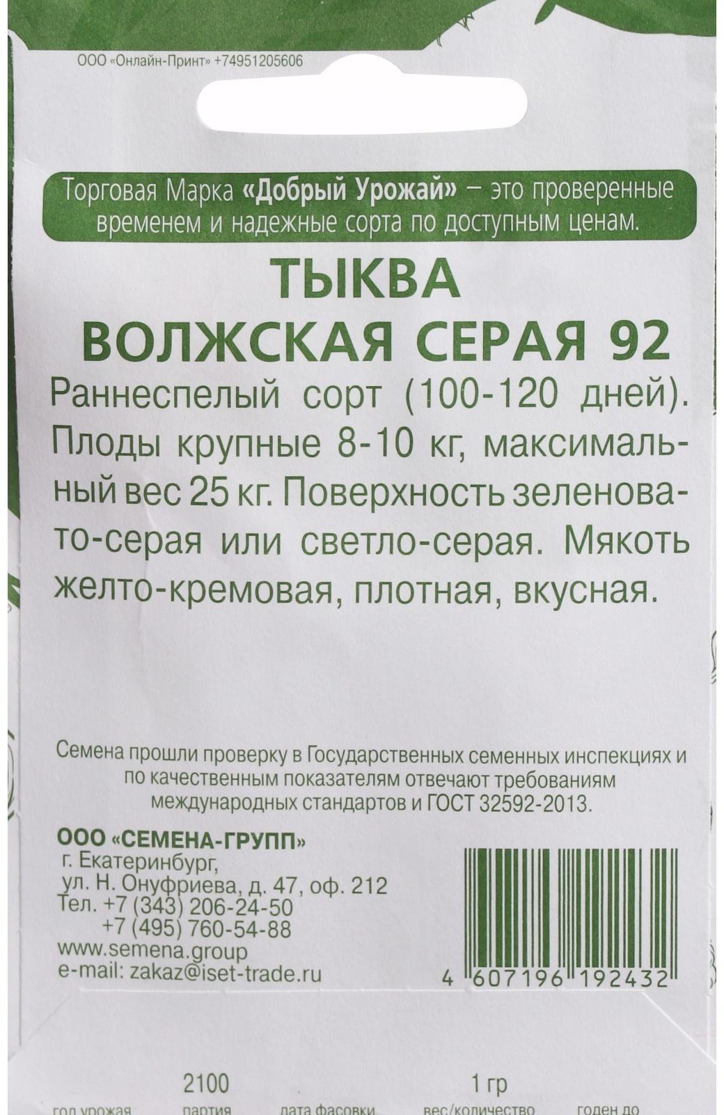 Семена Тыква 