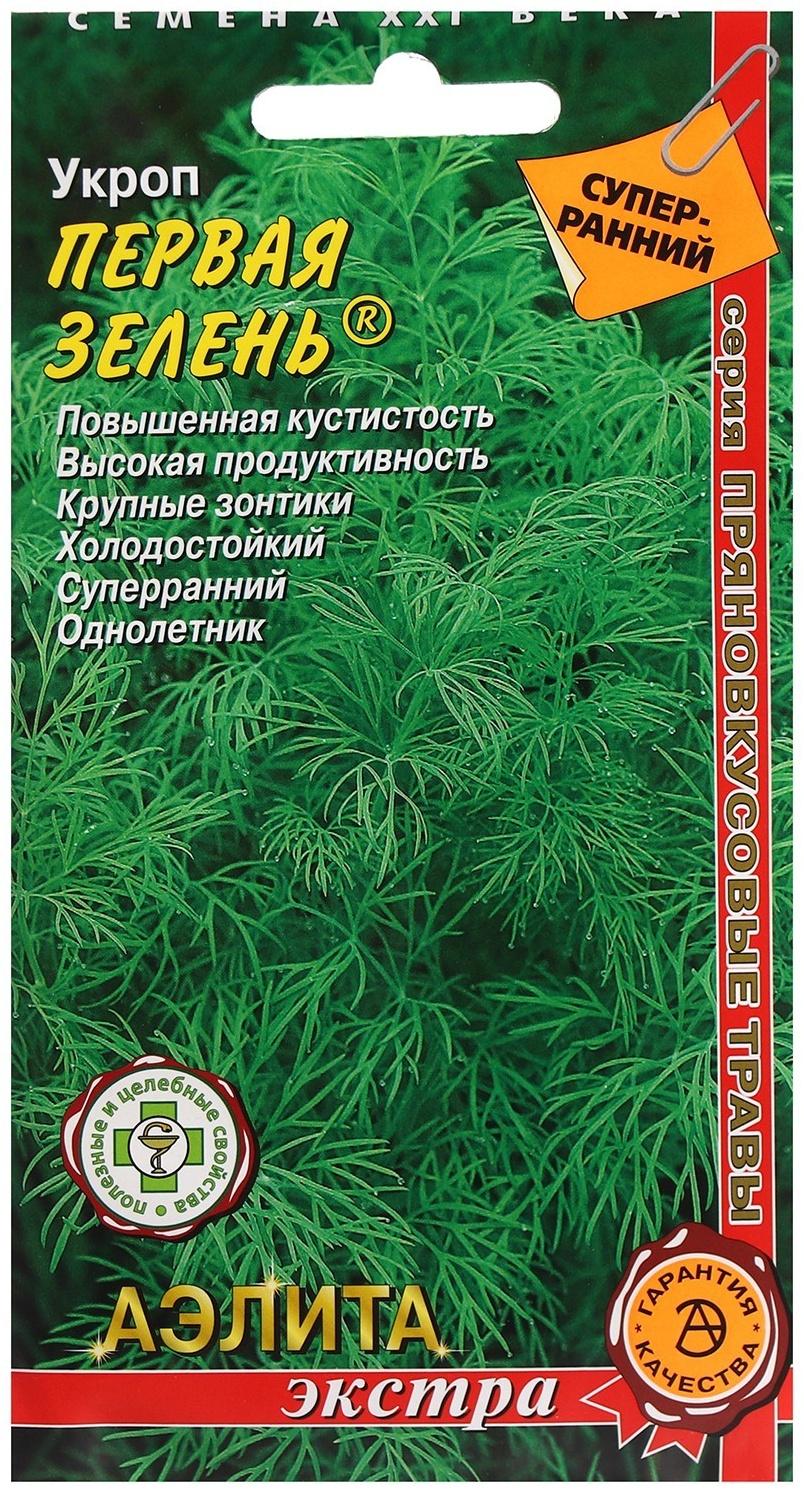 Семена Укроп 