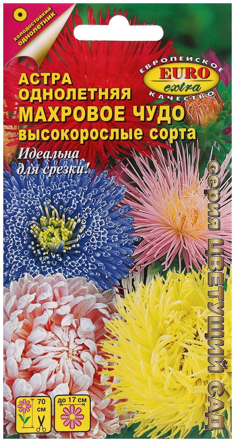 Семена цветов Астра 