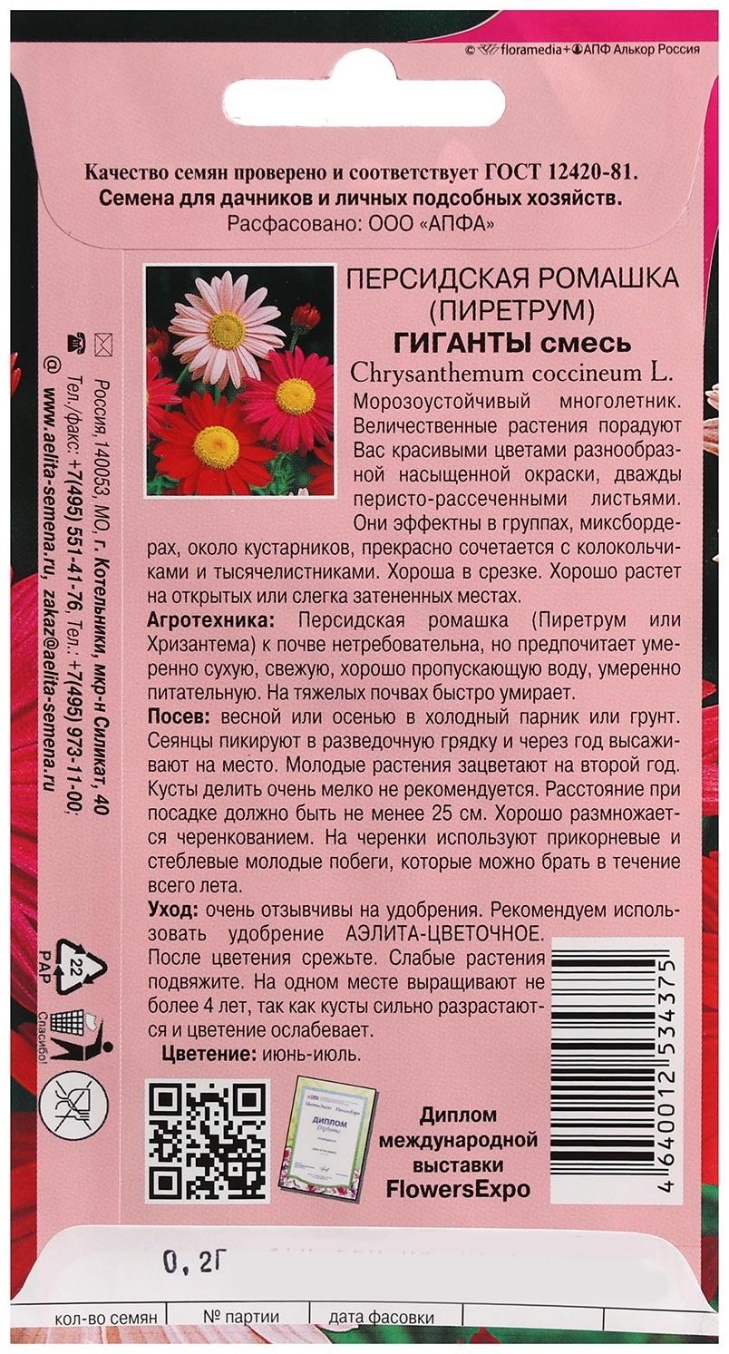 Семена цветов Пиретрум, 