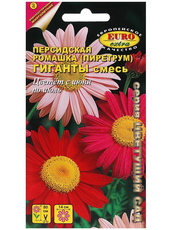 Семена цветов Пиретрум, 