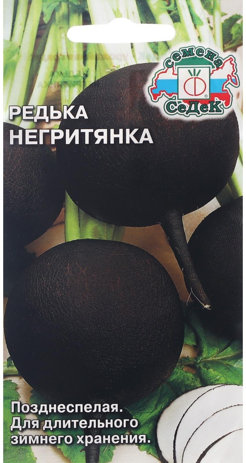 Семена Редька  