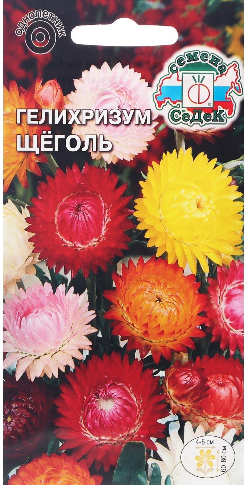 Семена цветов Гелихризум 