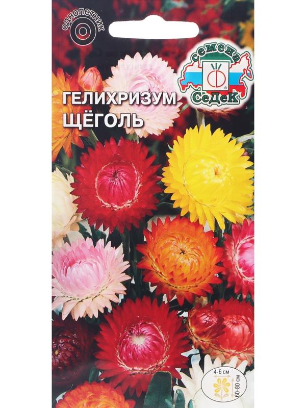 Семена цветов Гелихризум 