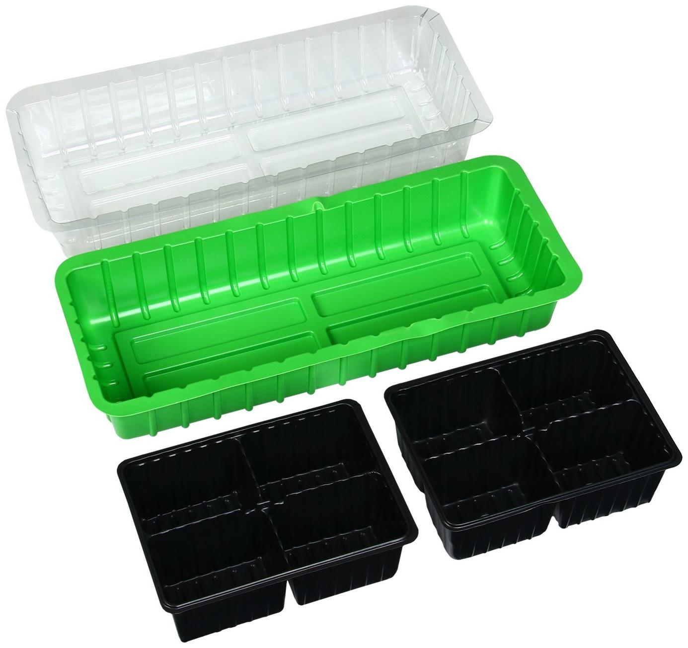 Мини-парник для рассады, 40 × 16 × 13 см, 2 вставки, 8 ячеек, зелёный, Greengo