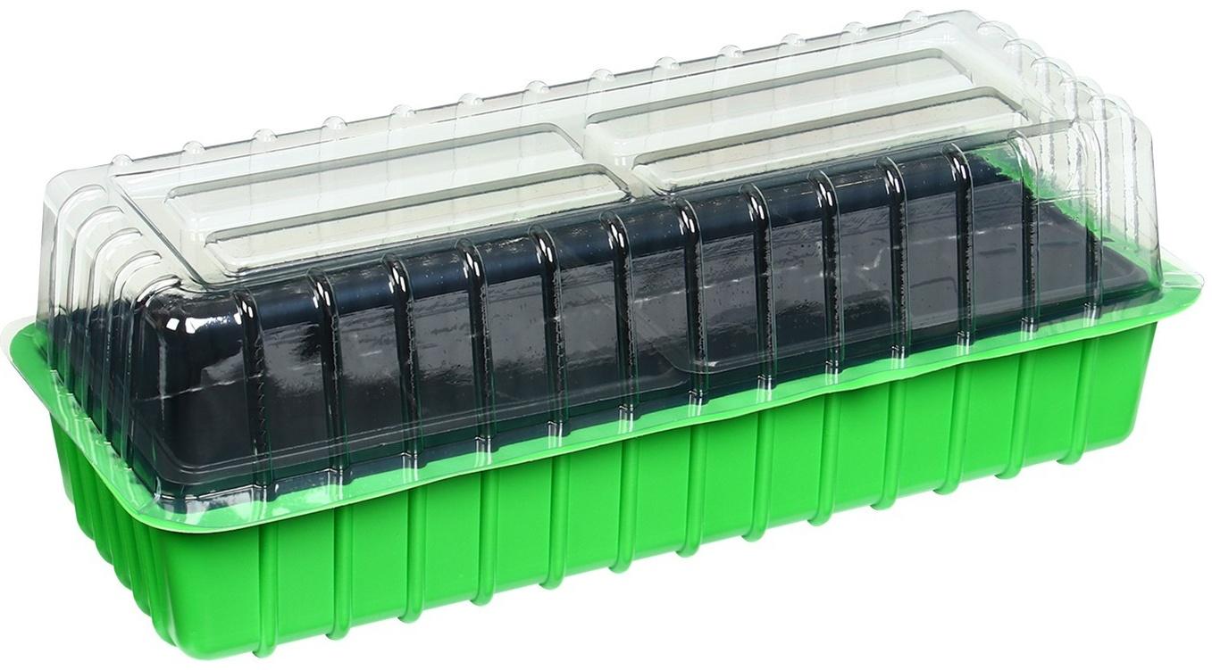 Мини-парник для рассады, 40 × 16 × 13 см, 2 вставки, 8 ячеек, зелёный, Greengo