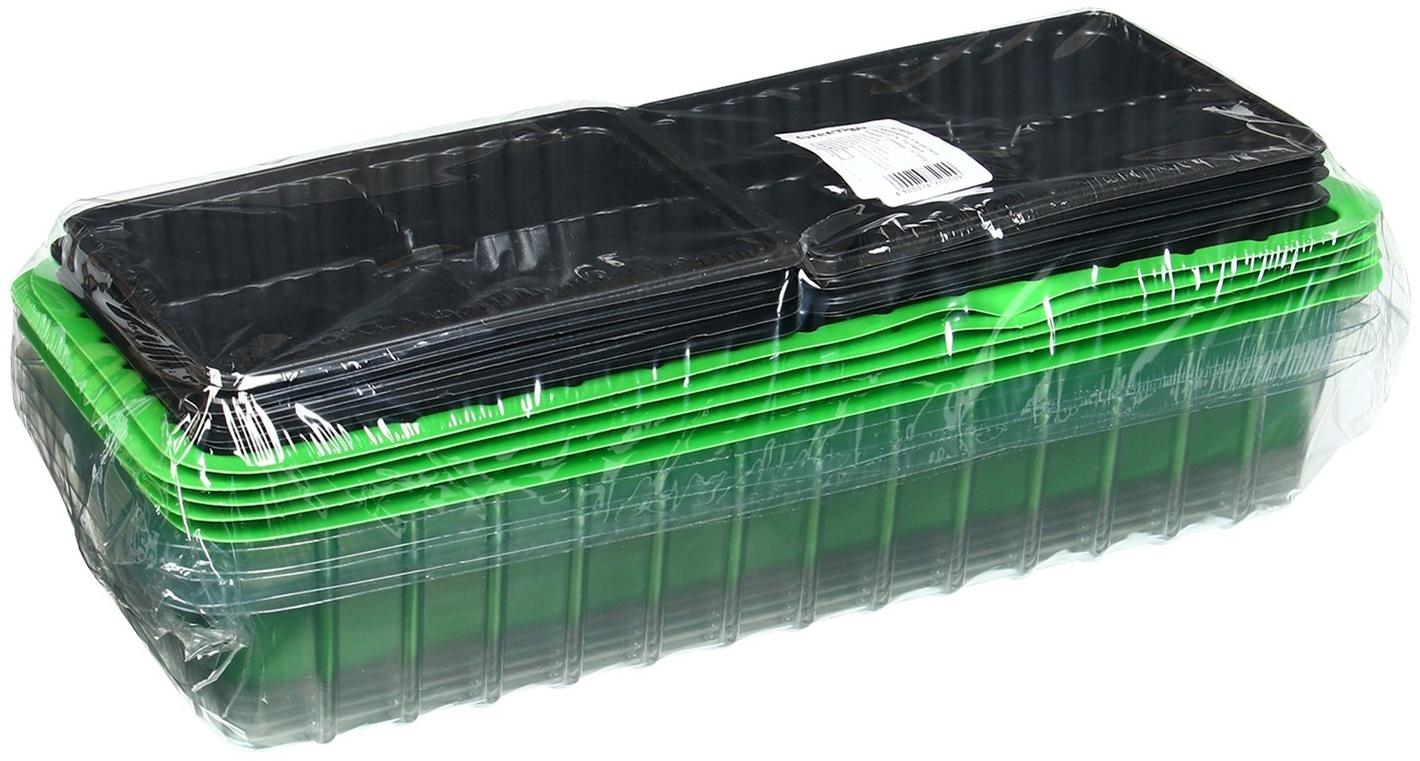 Мини-парник для рассады, 40 × 16 × 13 см, 2 вставки, 8 ячеек, зелёный, Greengo