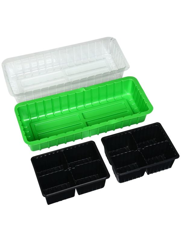 Мини-парник для рассады, 40 × 16 × 13 см, 2 вставки, 8 ячеек, зелёный, Greengo