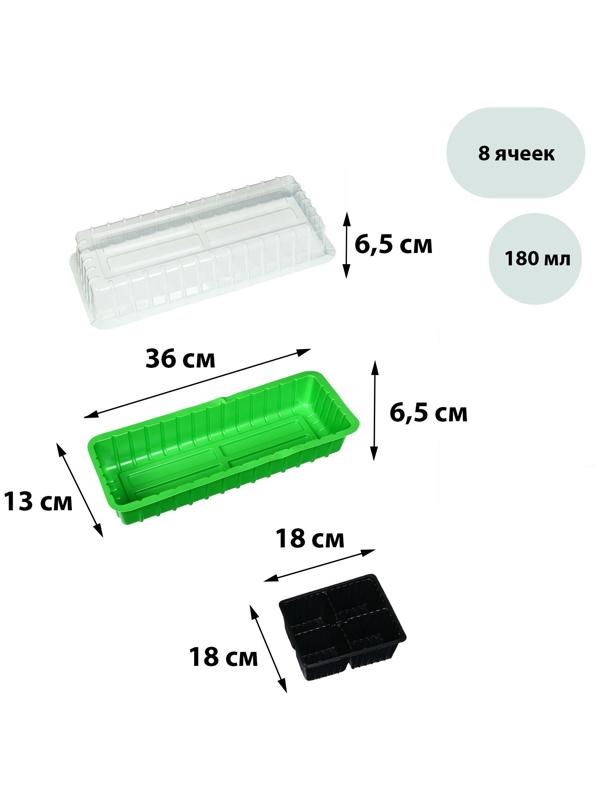 Мини-парник для рассады, 40 × 16 × 13 см, 2 вставки, 8 ячеек, зелёный, Greengo