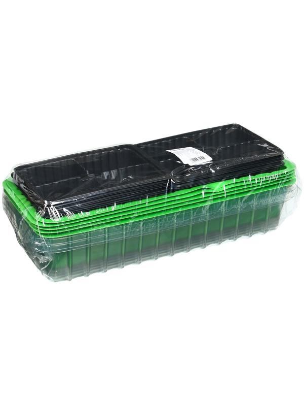 Мини-парник для рассады, 40 × 16 × 13 см, 2 вставки, 8 ячеек, зелёный, Greengo