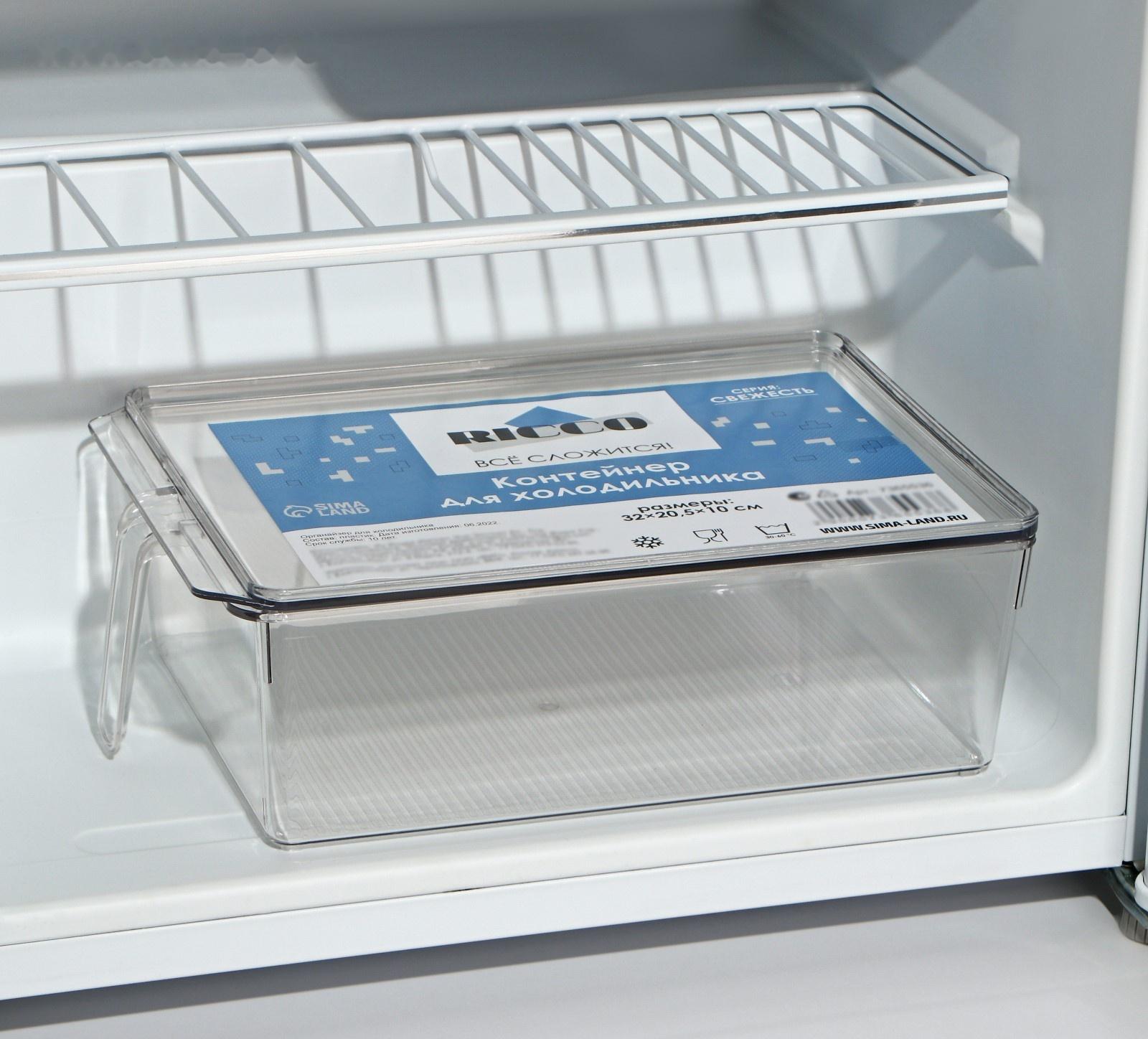 Контейнер для холодильника с крышкой и ручкой RICCO, 32×20,5×10 см, цвет прозрачный