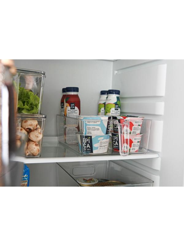 Контейнер для холодильника с крышкой и ручкой RICCO, 32×20,5×10 см, цвет прозрачный