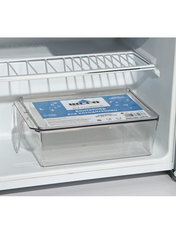 Контейнер для холодильника с крышкой и ручкой RICCO, 32×20,5×10 см, цвет прозрачный