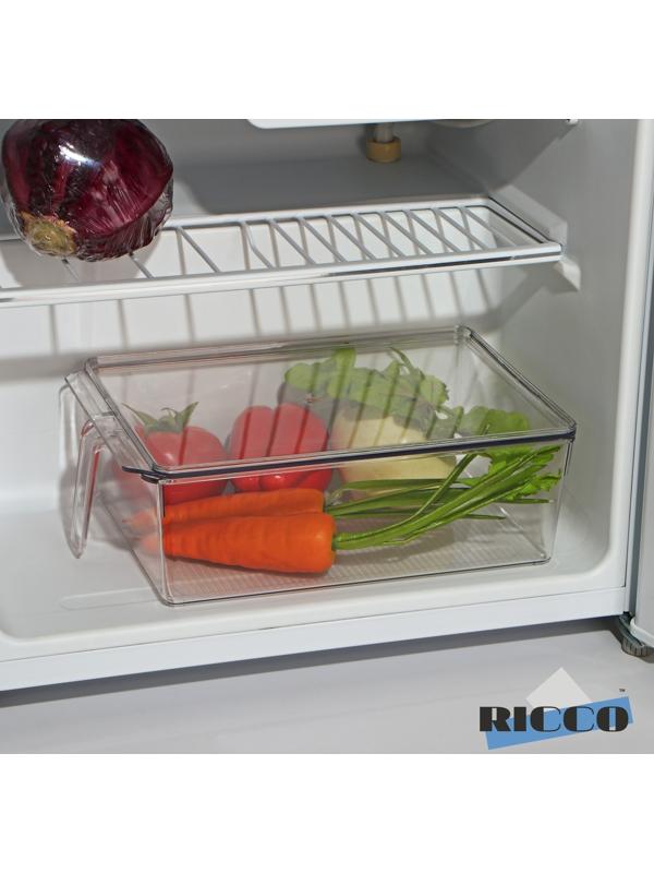 Контейнер для холодильника с крышкой и ручкой RICCO, 32×20,5×10 см, цвет прозрачный
