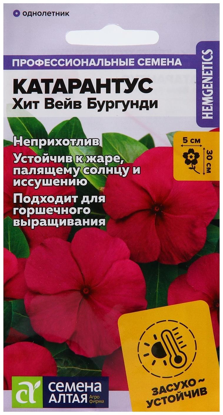 Семена цветов Катарантус 