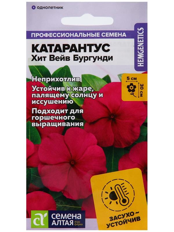 Семена цветов Катарантус 