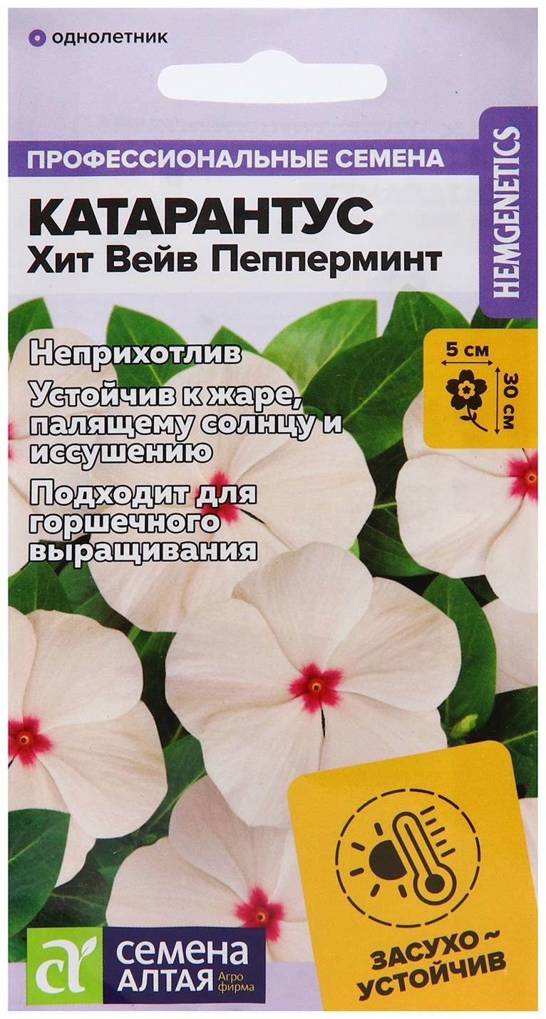 Семена цветов Катарантус 