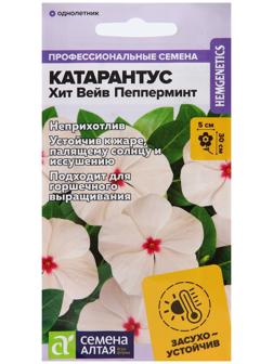 Семена цветов Катарантус 