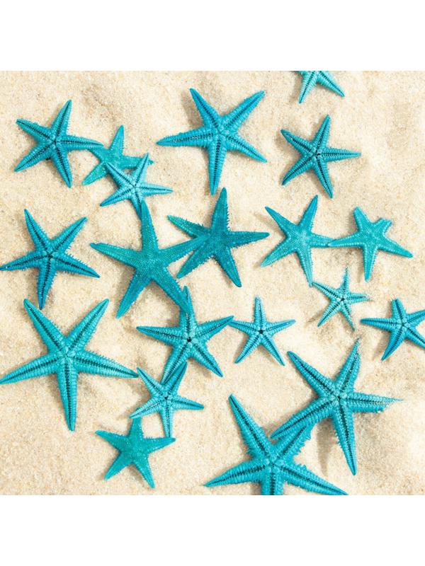 Набор натуральных морских звезд,  1,5 - 2,5 см, 20 шт, синий