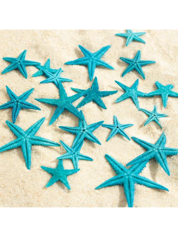 Набор натуральных морских звезд,  1,5 - 2,5 см, 20 шт, синий