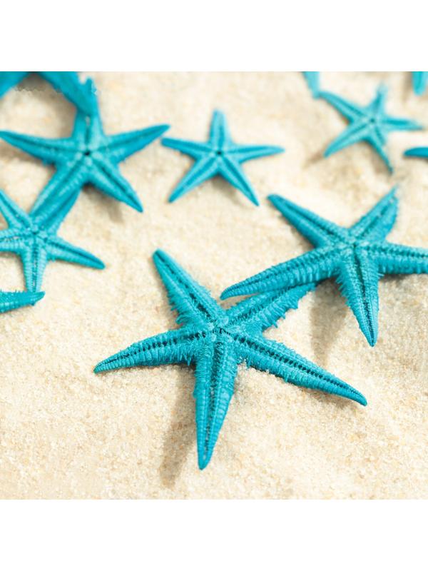 Набор натуральных морских звезд,  1,5 - 2,5 см, 20 шт, синий