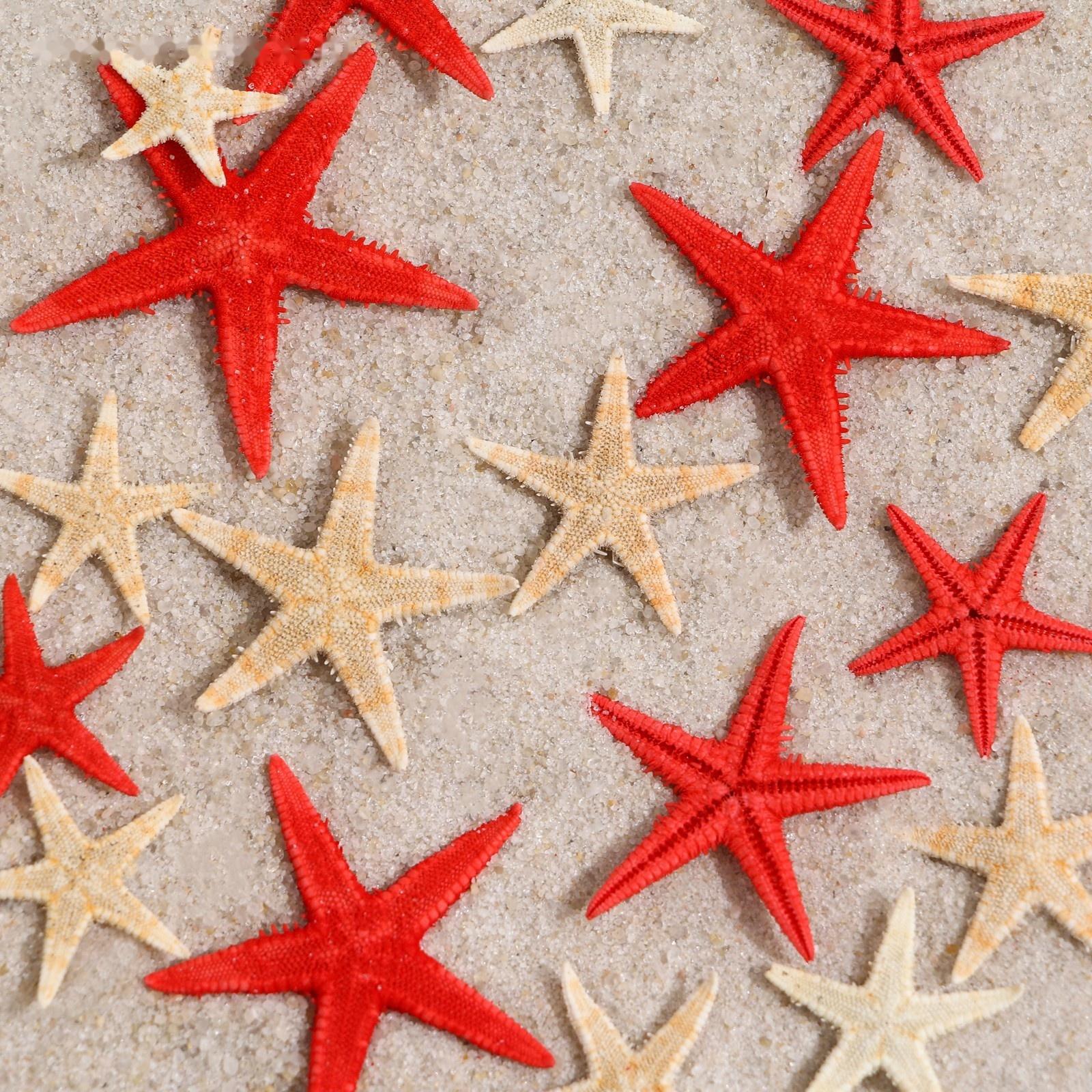 Набор натуральных морских звезд,  1,5 - 2,5 см, 20 шт, красные - белые
