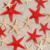 Набор натуральных морских звезд,  1,5 - 2,5 см, 20 шт, красные - белые